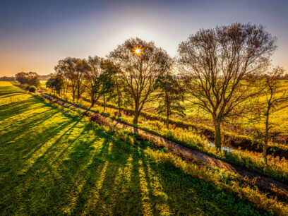 Sonnenaufgang Heidelandschaft