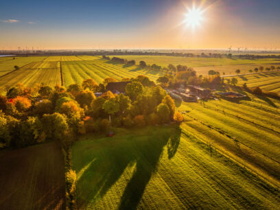 Norddeutsche Weidelandschaft im Sonnenaufgang